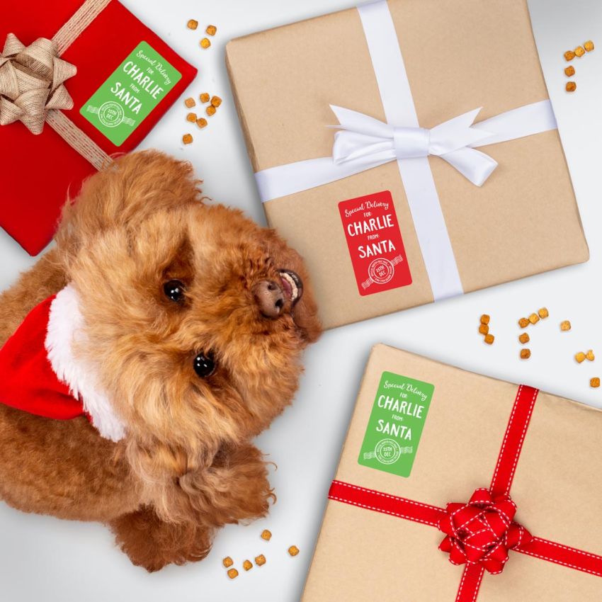 Santa Labels For Pets gallery image №3