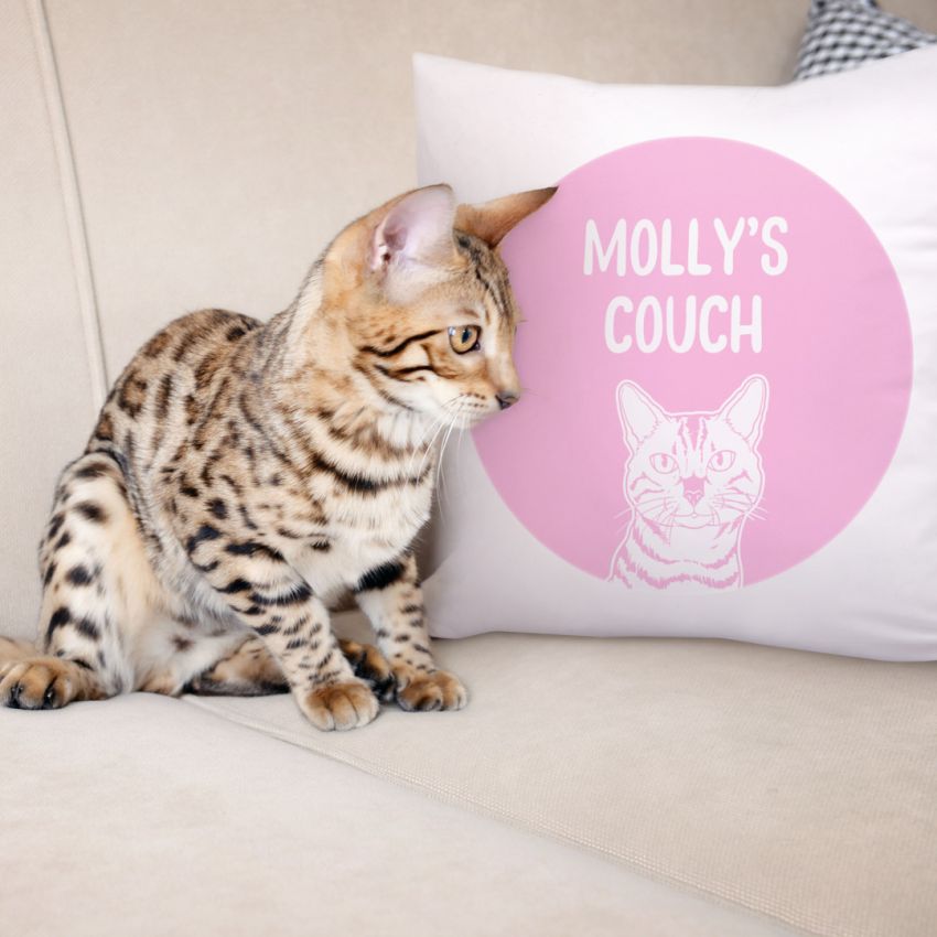 Dog Cushion Covers product preview image