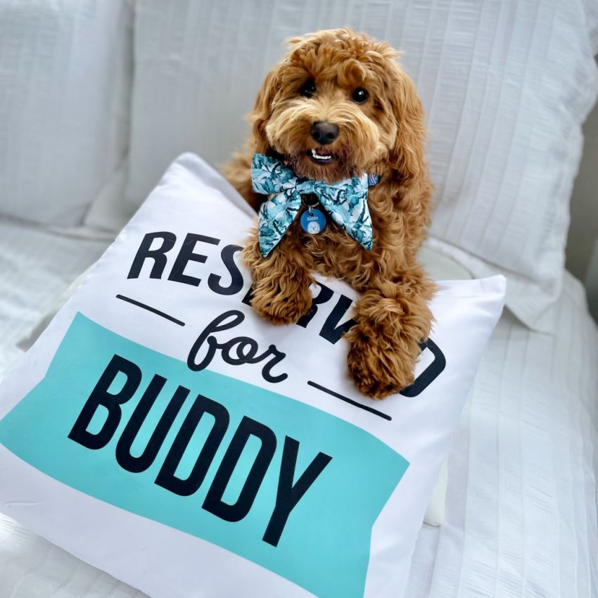 Dog Cushion Covers gallery image №4