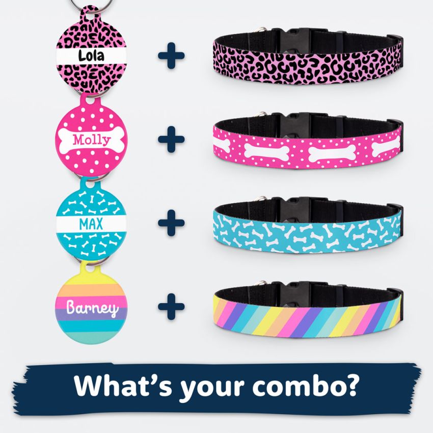 Metal Dog Tags product preview image