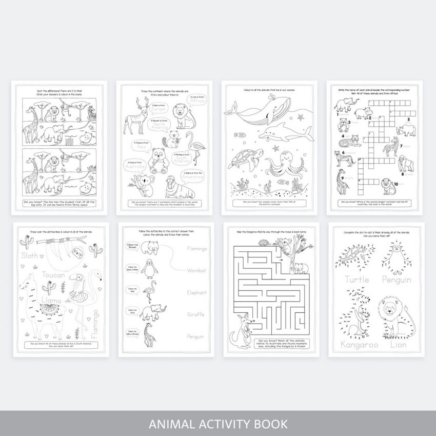Roaring Adventure Book Pack product preview image