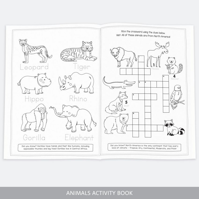 Magical Adventure Book Pack product preview image