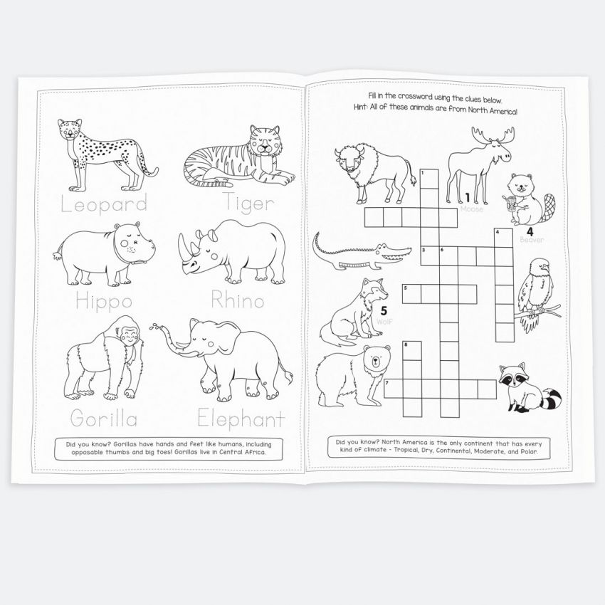 Animals For Kids Activity Book product preview image