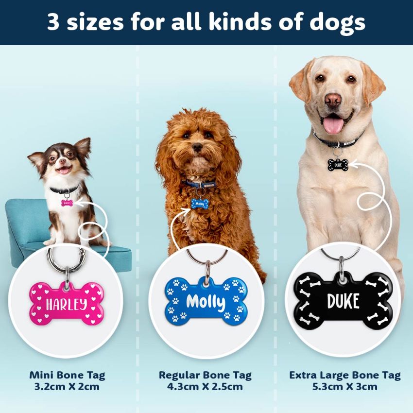 Premium Dog Bone Tags product preview image
