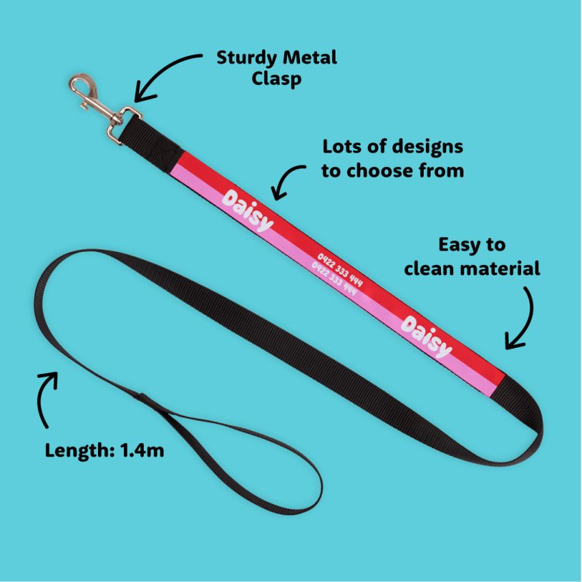 Personalised Leash gallery image №2