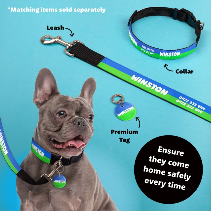 Personalised Leash gallery image №4