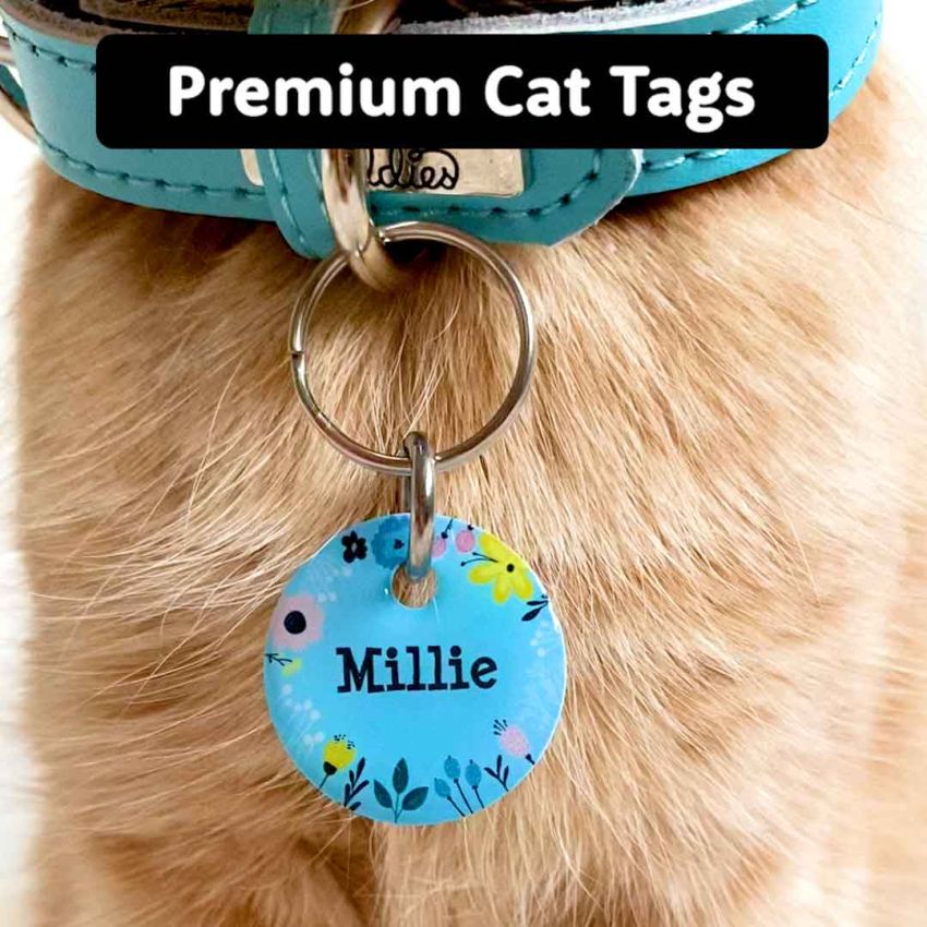 Premium Cat Tags gallery image №3