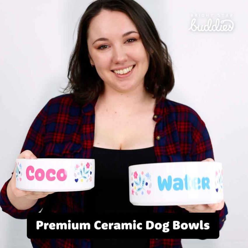 Premium Ceramic Dog Bowls gallery image №2