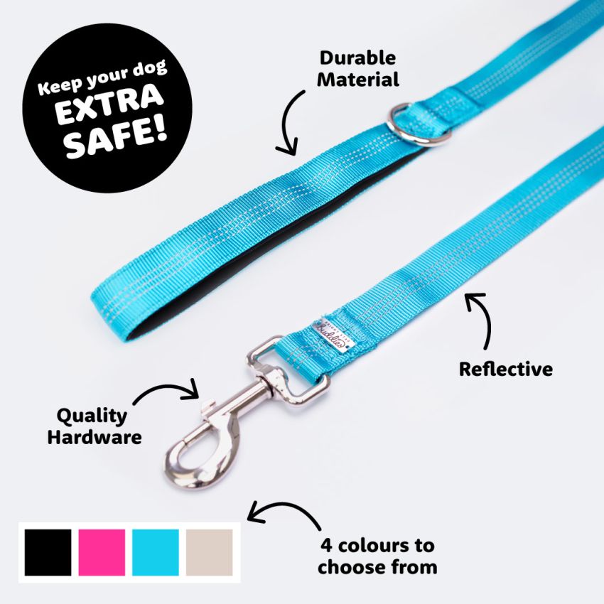 Reflective Leash gallery image №1