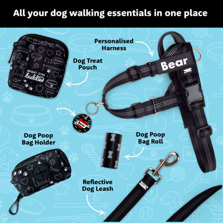 Reflective Leash product preview image