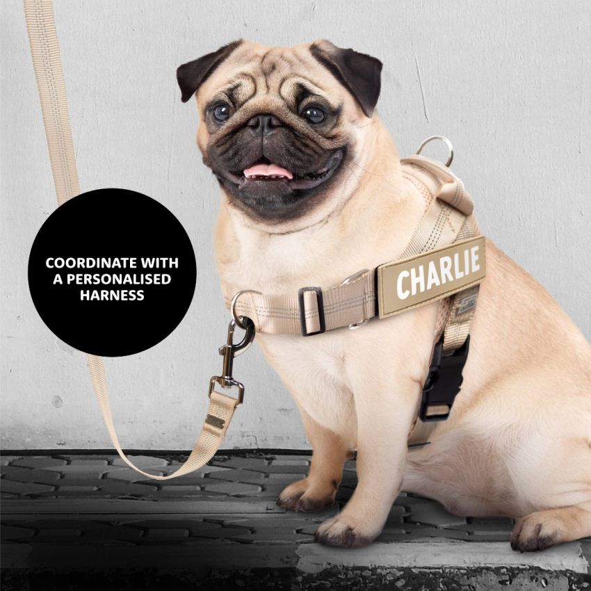 Reflective Leash gallery image №2