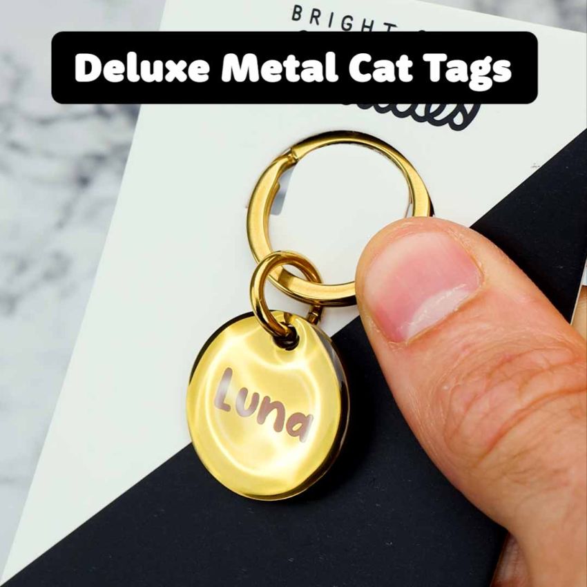 Deluxe Metal Cat Tags gallery image №3
