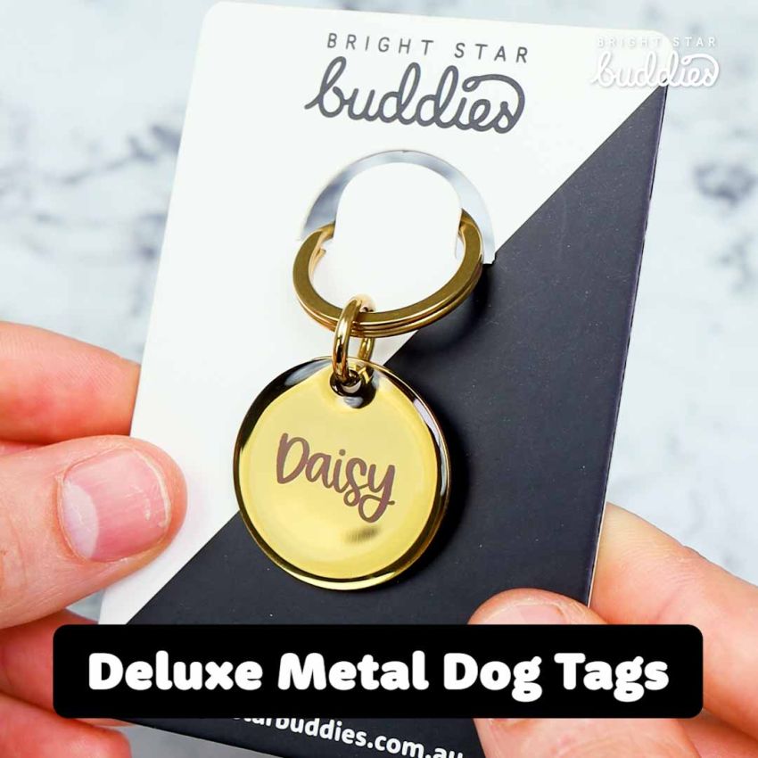 Deluxe Metal Dog Tags gallery image №3