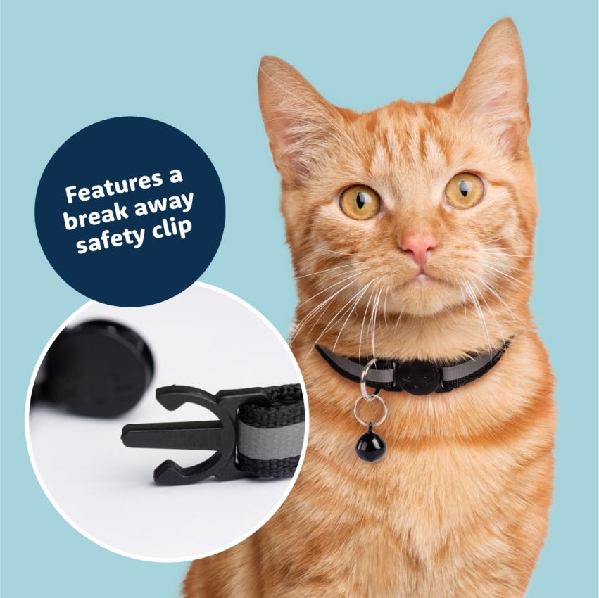 Cat Collar product preview image