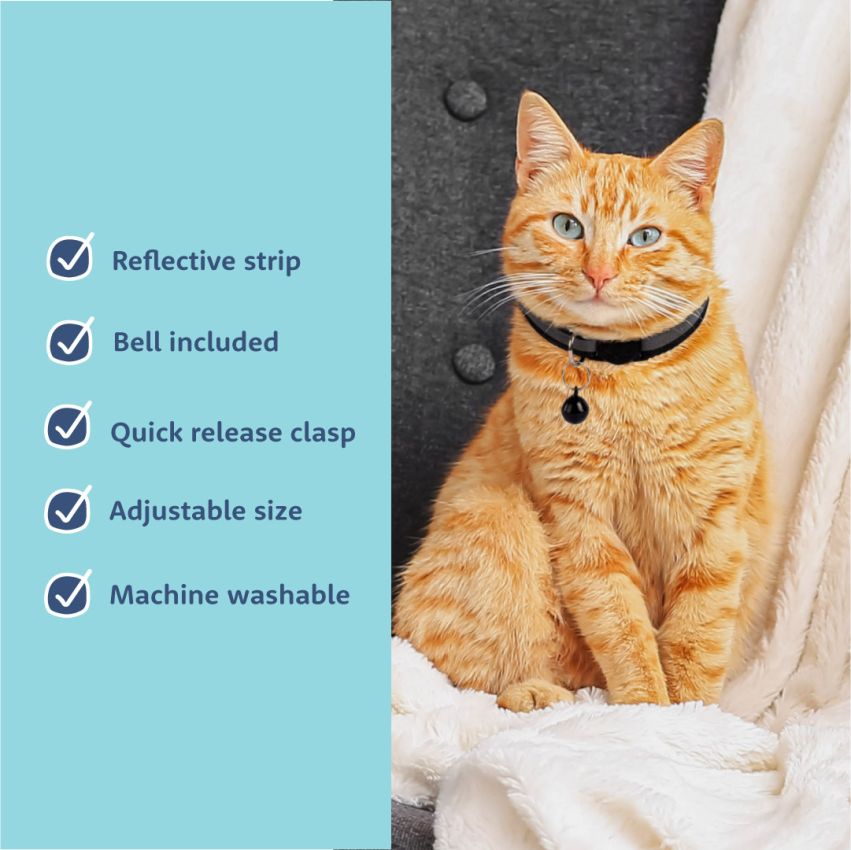 Cat Collar product preview image