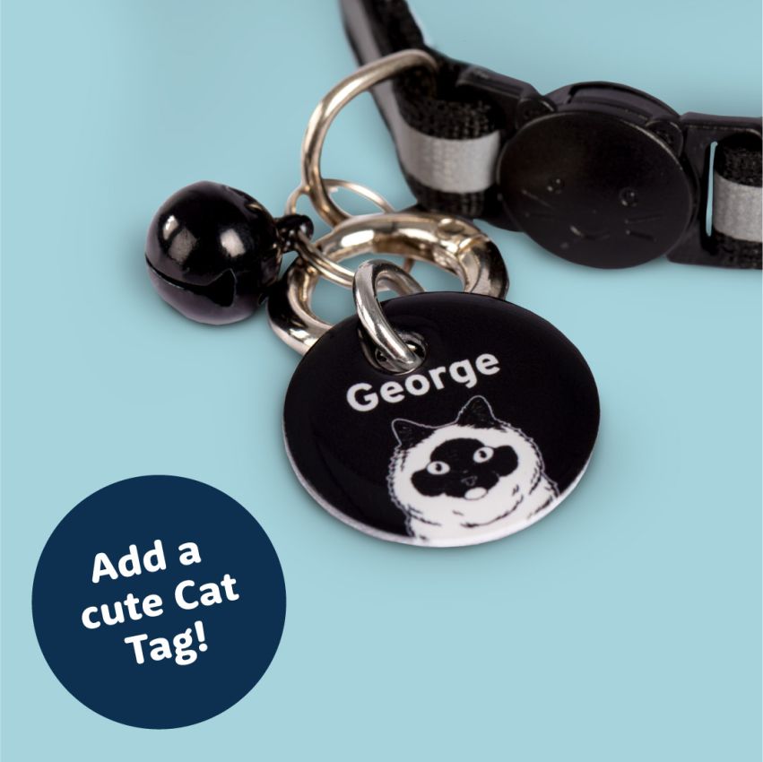 Cat Collar product preview image