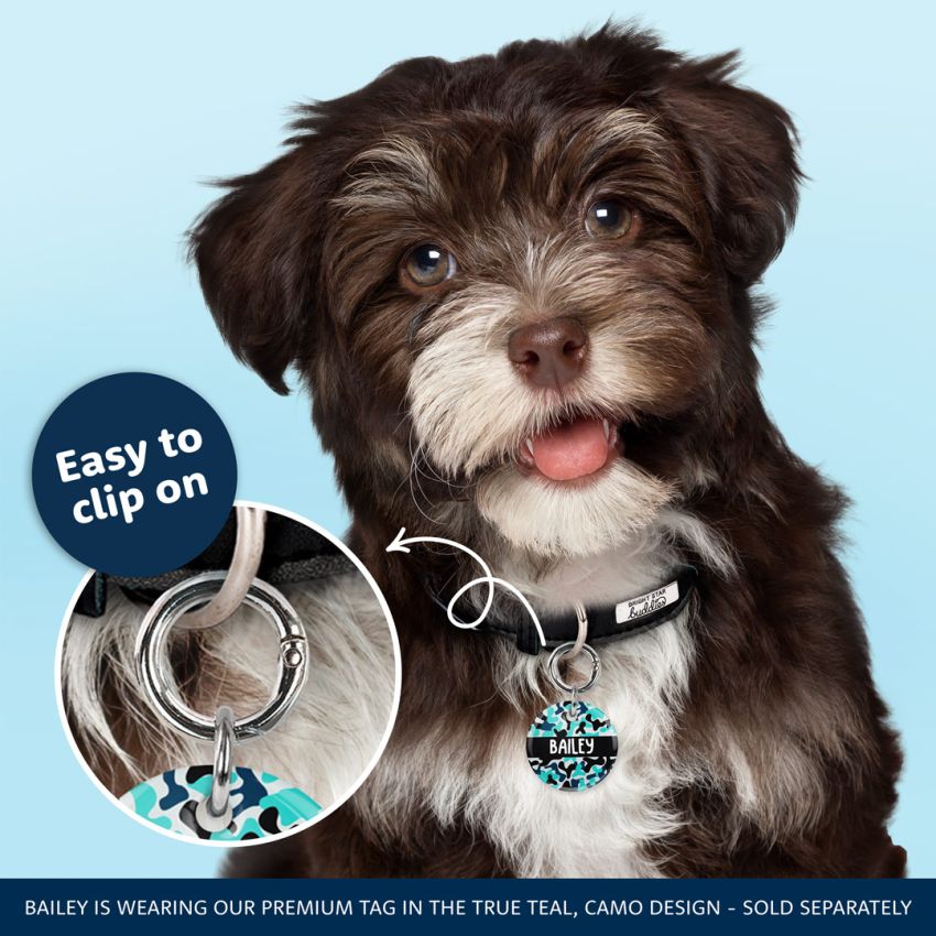 Collector Clasp product preview image