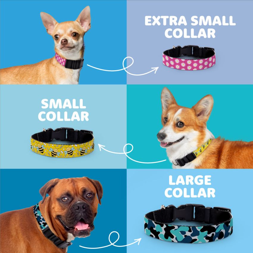 Patterned Dog Collars gallery image №3