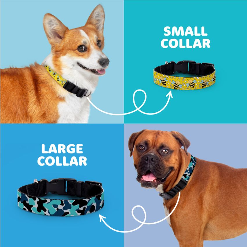 Patterned Dog Collars gallery image №2
