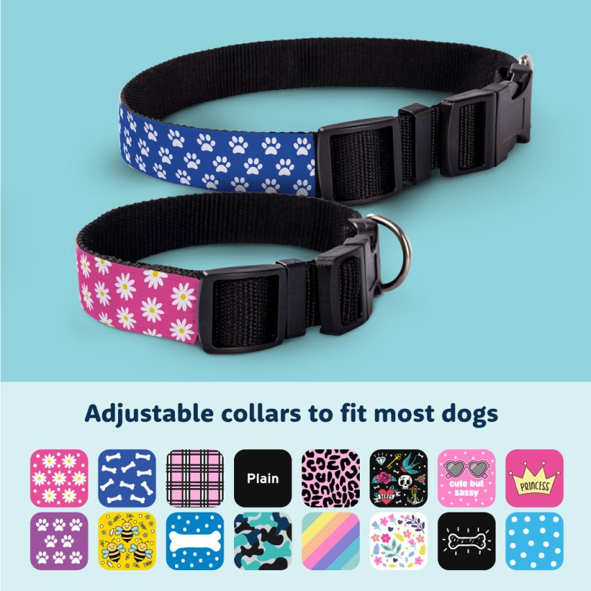 Patterned Dog Collars gallery image №1