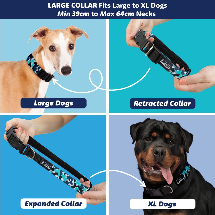 Patterned Dog Collars gallery image №4
