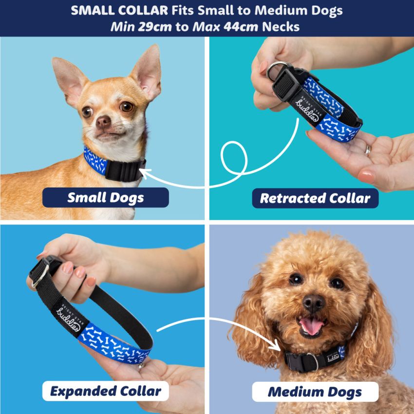 Patterned Dog Collars gallery image №3