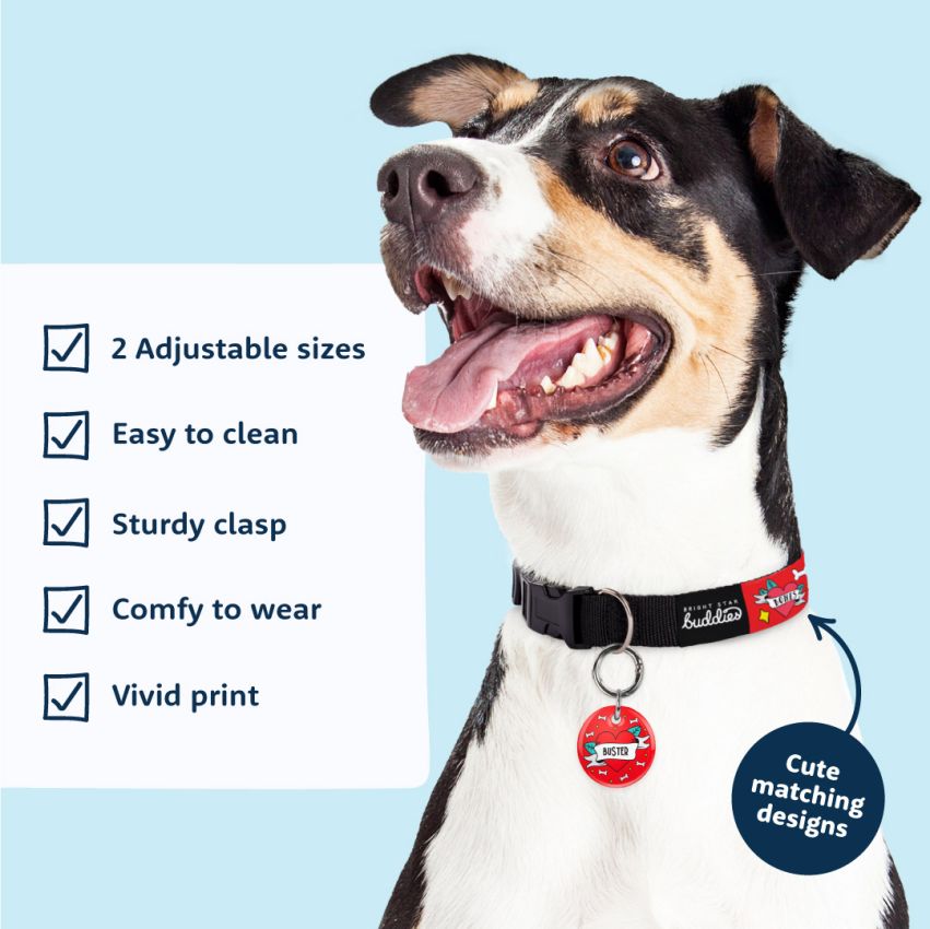 Patterned Dog Collars product preview image