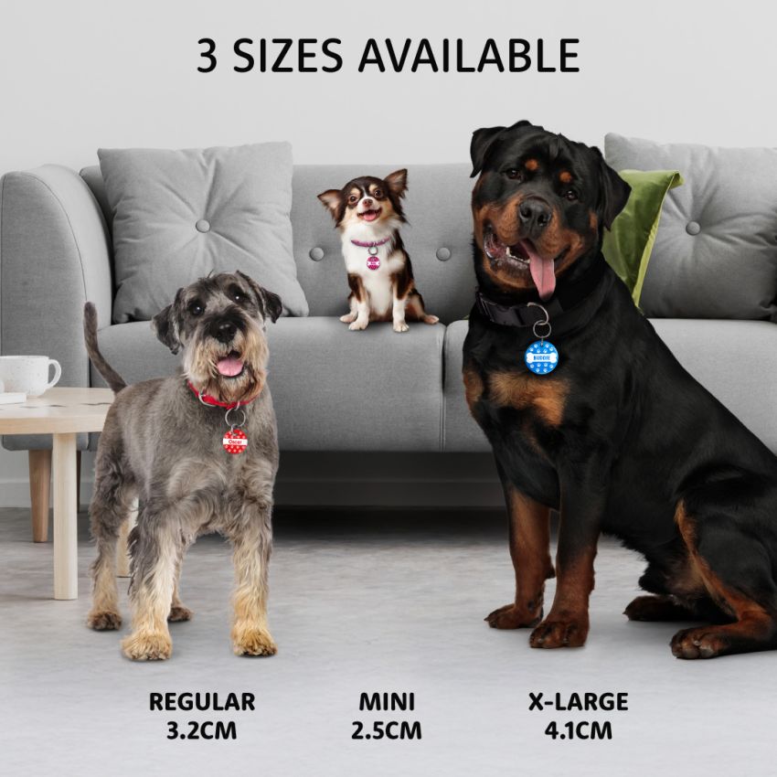 Premium Dog Tags product preview image