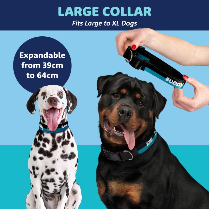 Patterned Dog Collars product preview image