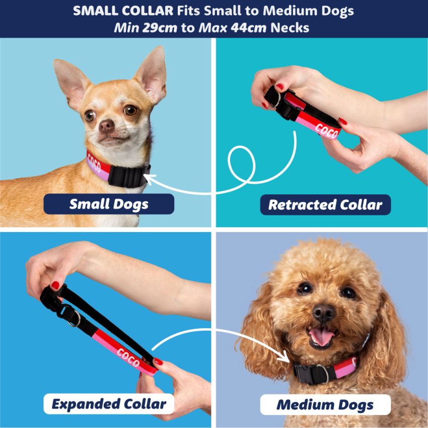 Personalised Dog Collars gallery image №4