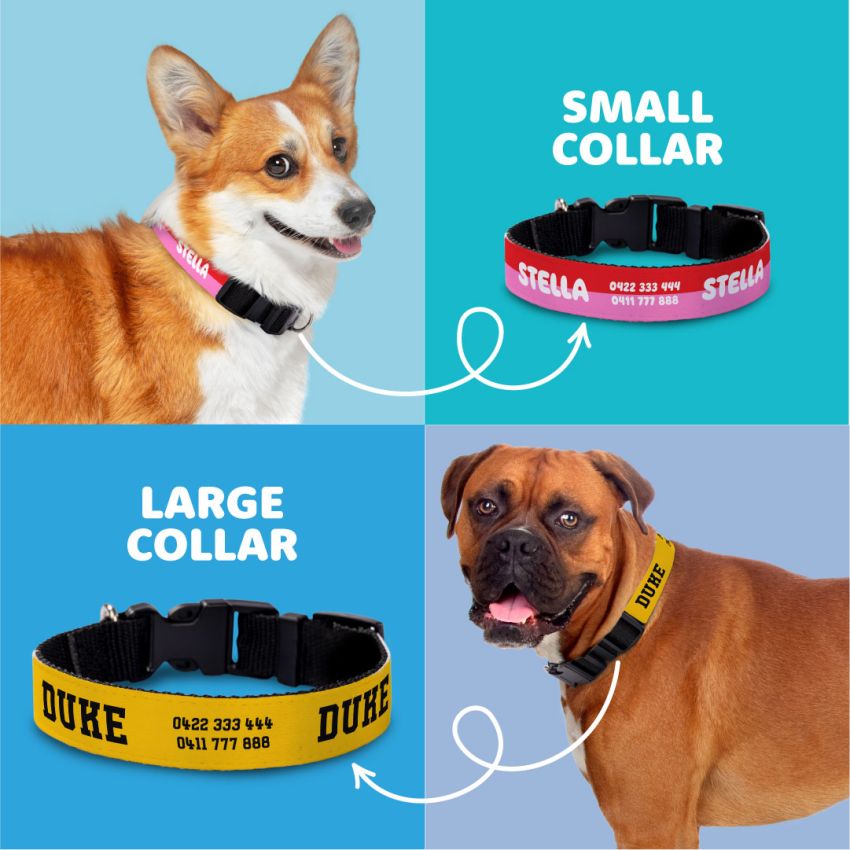 Personalised Dog Collars gallery image №3