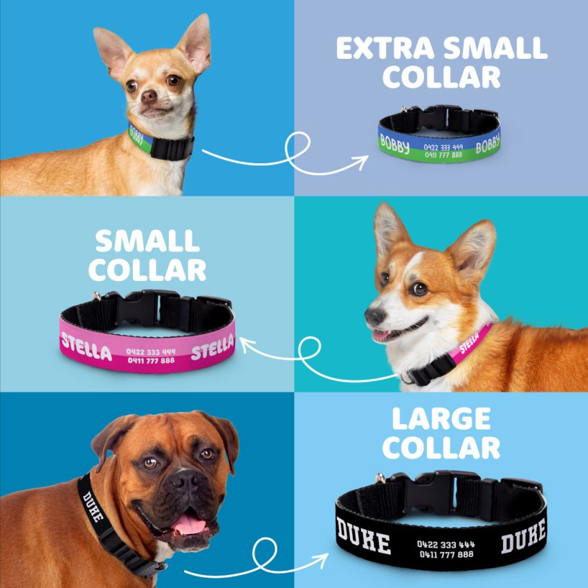 Personalised Dog Collars product preview image
