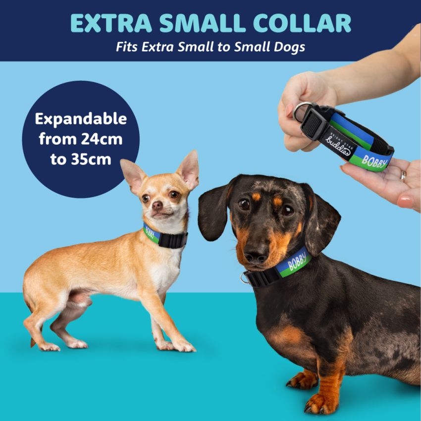 Personalised Dog Collars product preview image