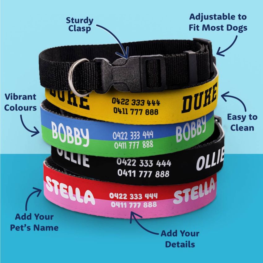 Personalised Dog Collars gallery image №1