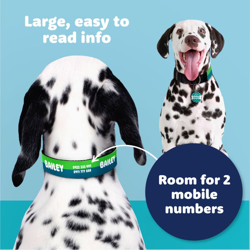 Personalised Dog Collars gallery image №2