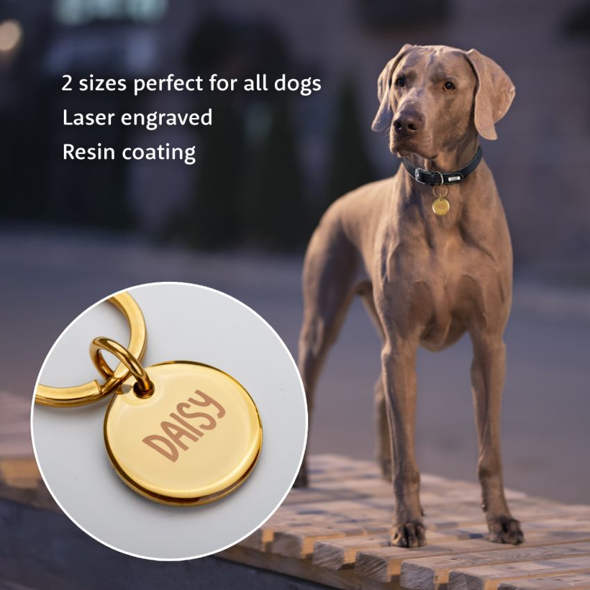 Deluxe Metal Dog Tags gallery image №2