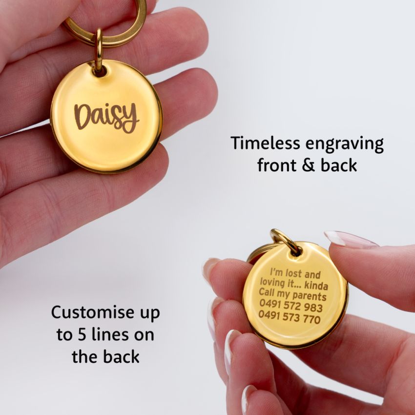 Deluxe Metal Dog Tags product preview image