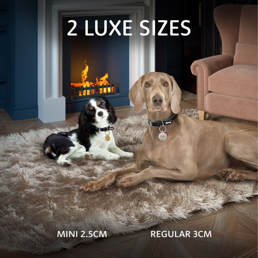 Deluxe Metal Dog Tags product preview image