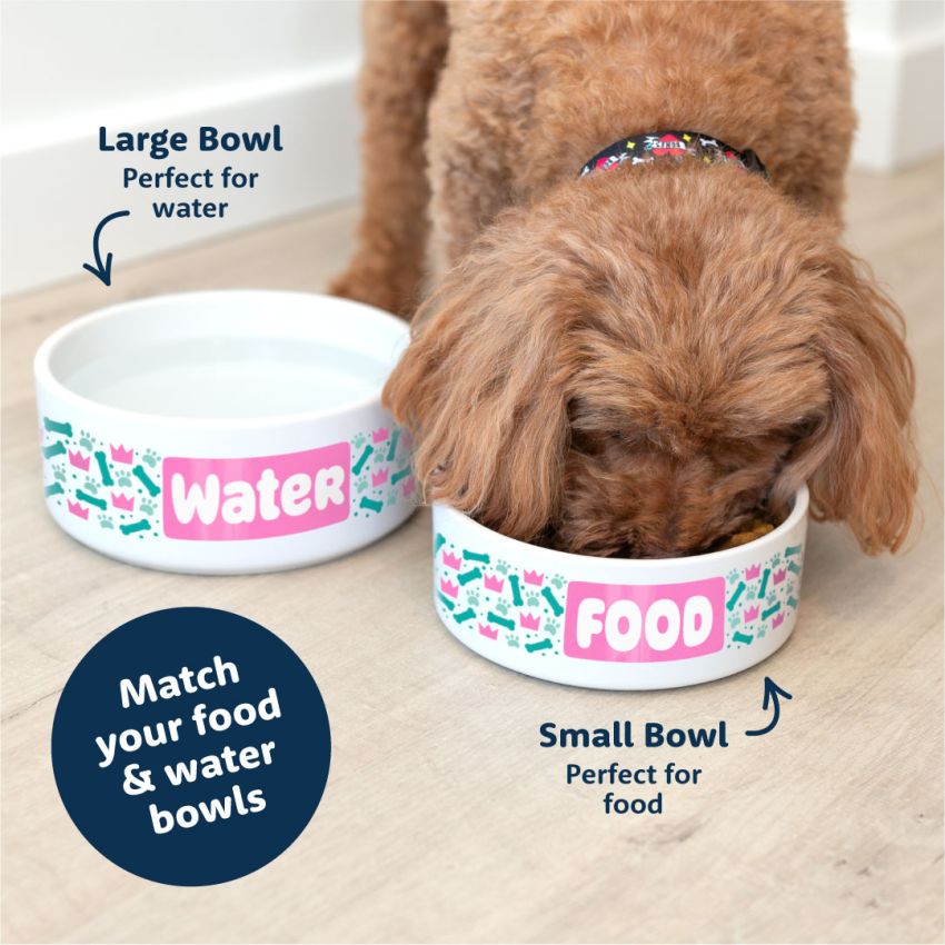 Premium Ceramic Dog Bowls gallery image №4
