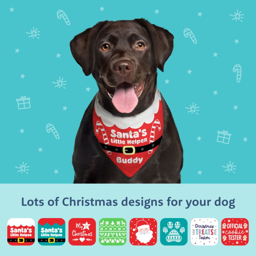Christmas Dog Bandanas product preview image