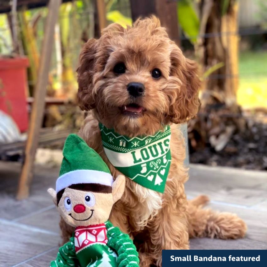 Christmas Dog Bandanas product preview image