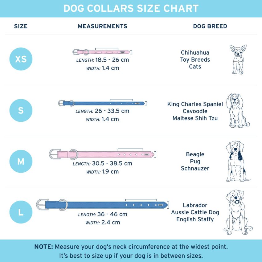 Dog Collars product preview image