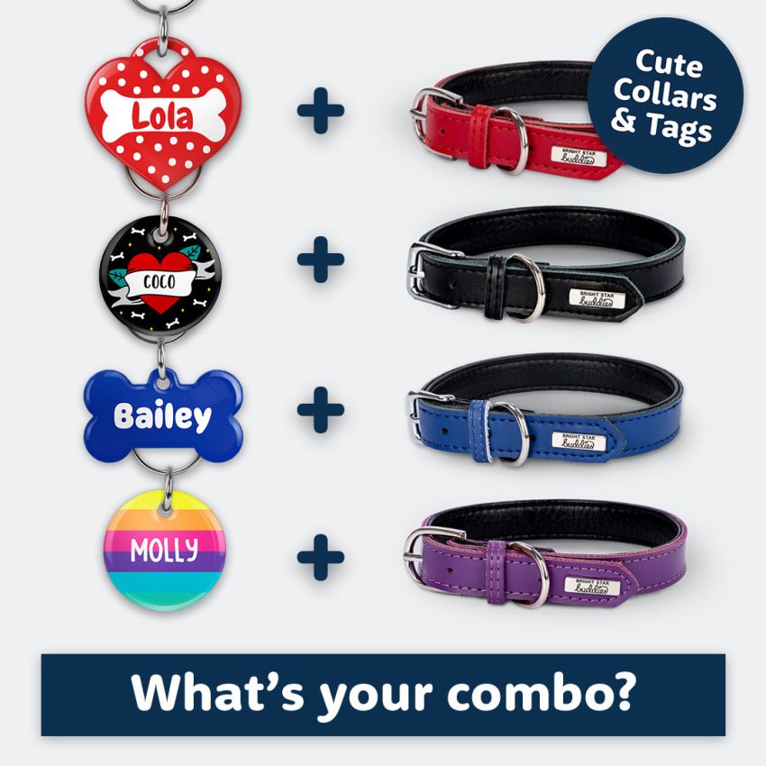 Dog Collars product preview image
