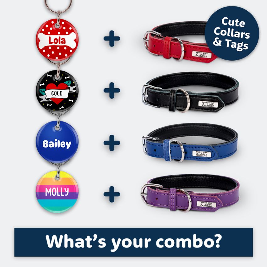 Dog Collars product preview image