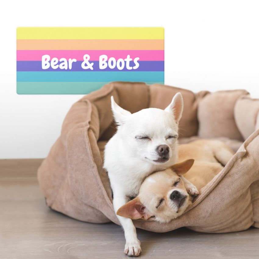 Dog Signs product preview image
