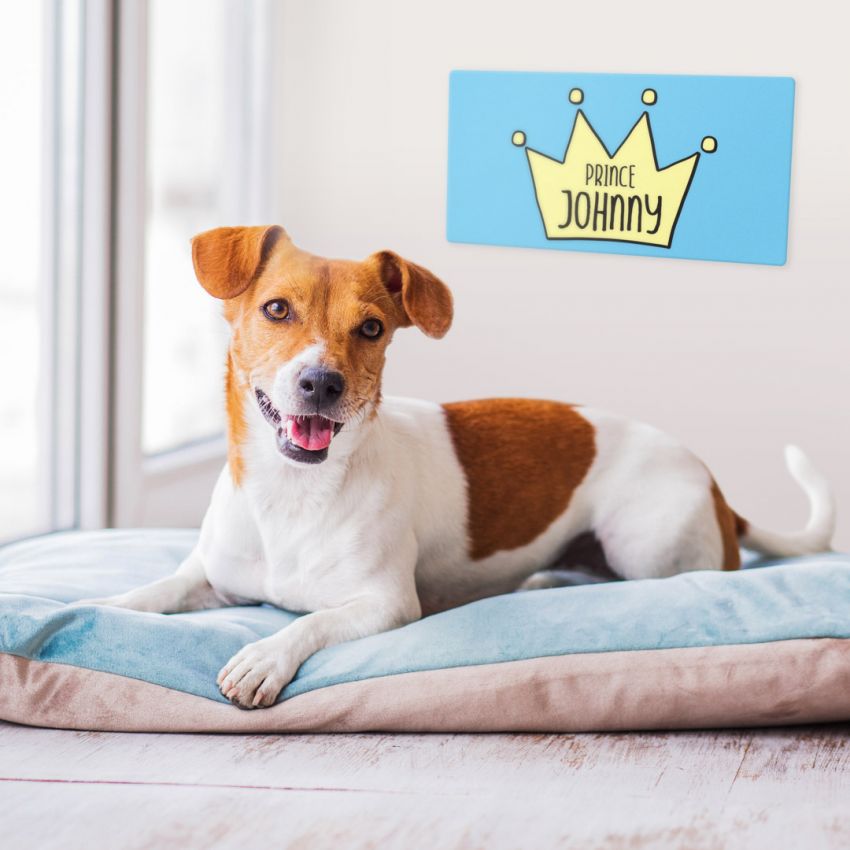 Dog Signs product preview image