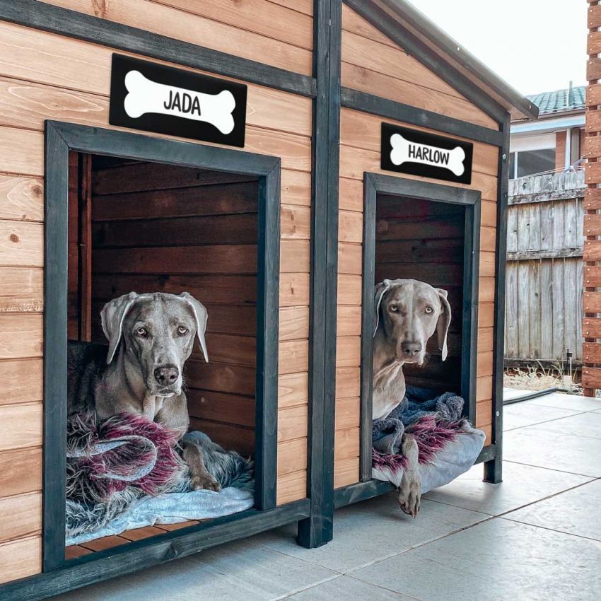 Dog Signs product preview image