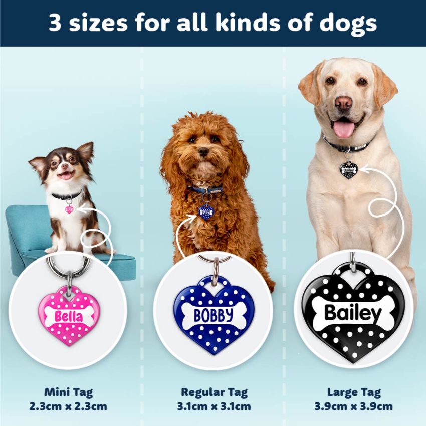 Premium Heart Dog Tags product preview image