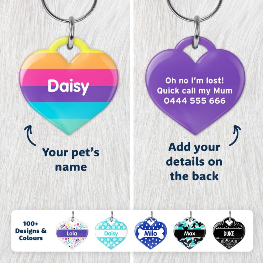 Premium Heart Dog Tags product preview image