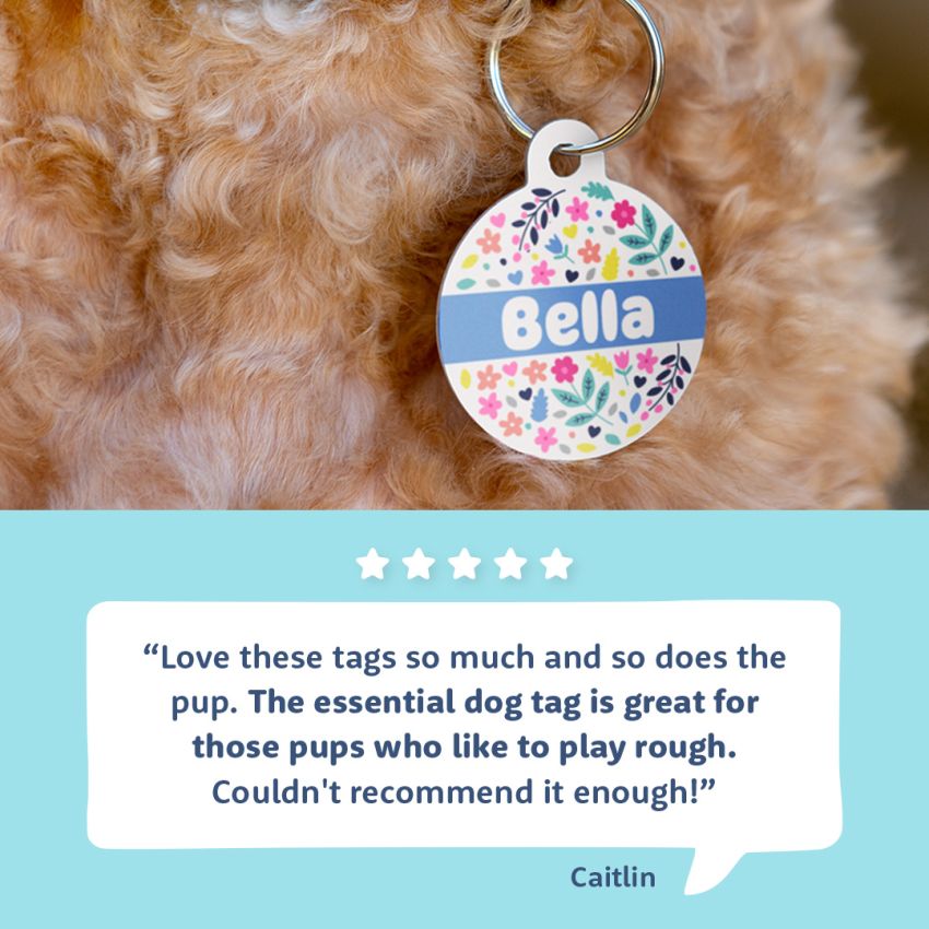 Metal Dog Tags product preview image